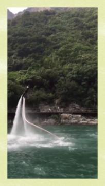 救援紫色生物