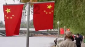 逗小猴开心系列170